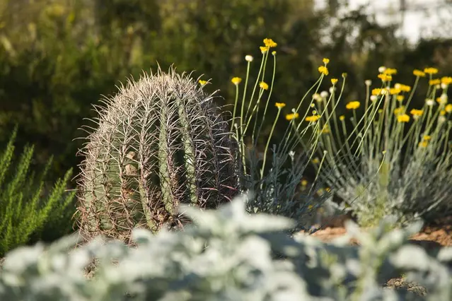 Arizona Maintenance_5