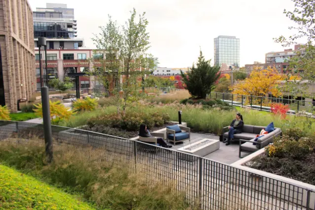 Landscape Development Services