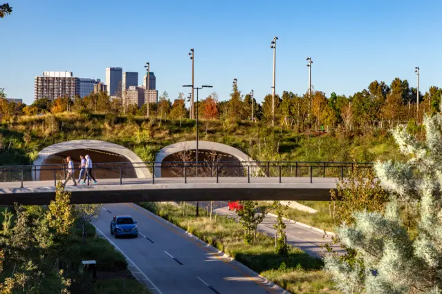 Landscape Development