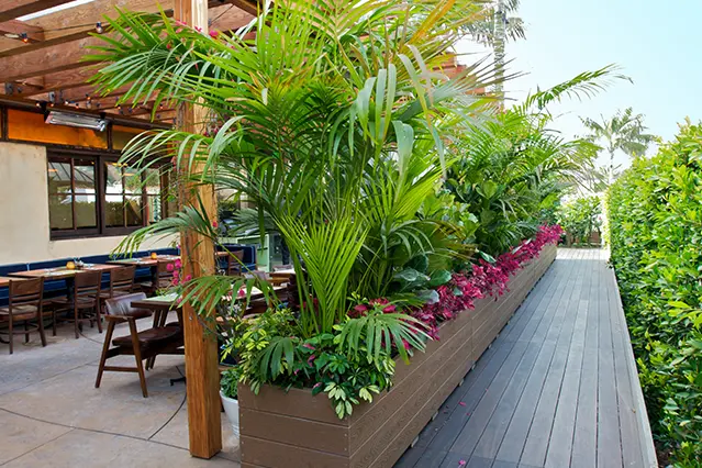 California Maintenance Services