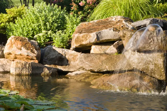 California Water Management