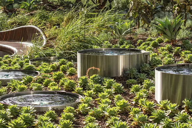 California Water Management