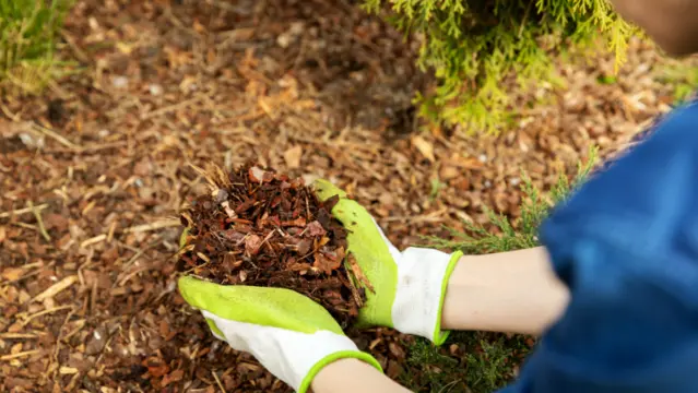 Watering Tips to Summer-Proof Your Garden