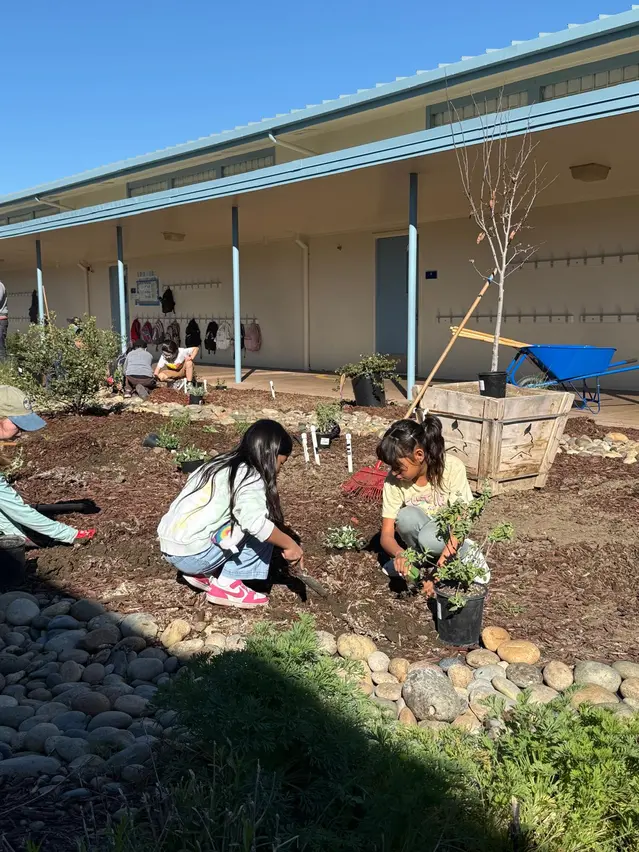 Pomeroy Elementary School California native corridor students planting