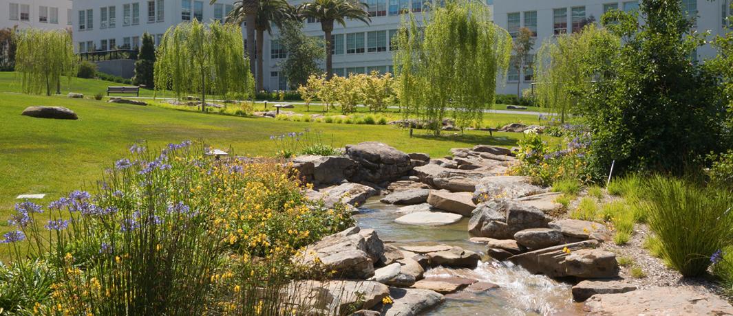 Corporate Campuses Landscaping Experts