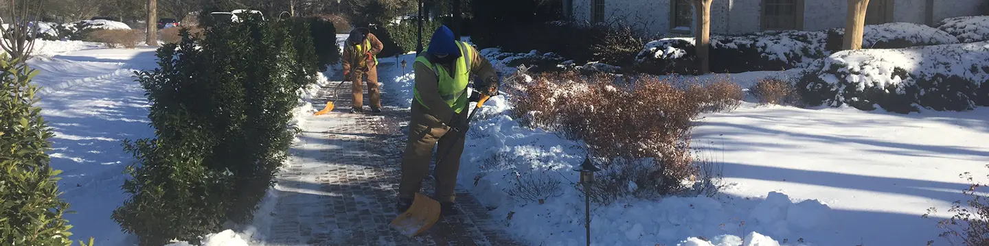 East Coast Responds to Bomb Cyclone