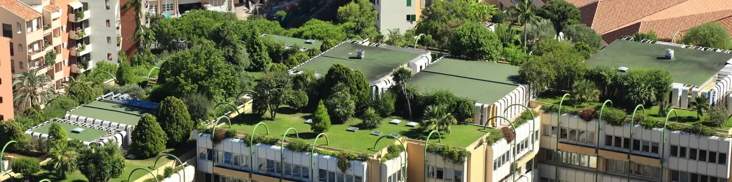 More Green Roof Reasons