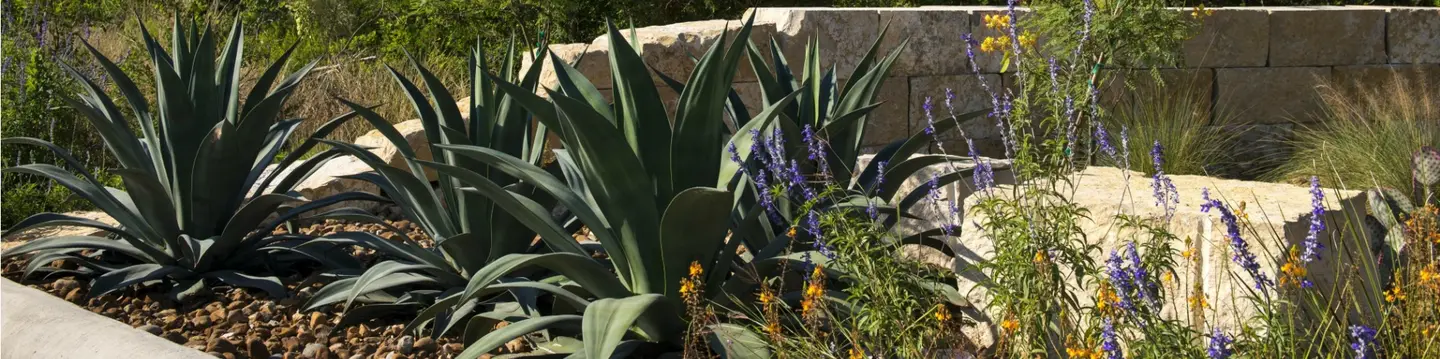 Regenerative Landscapes