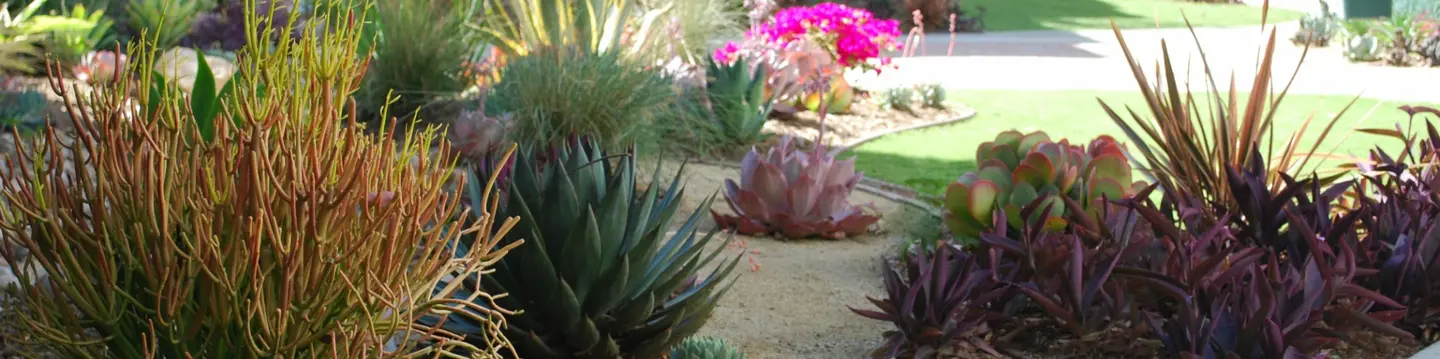 Smart Water Alternatives