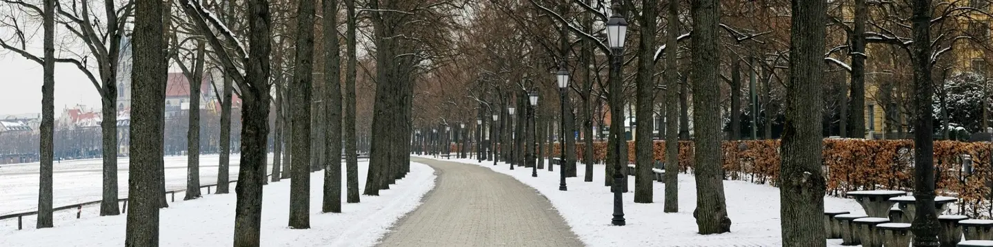 Snow Management Plan