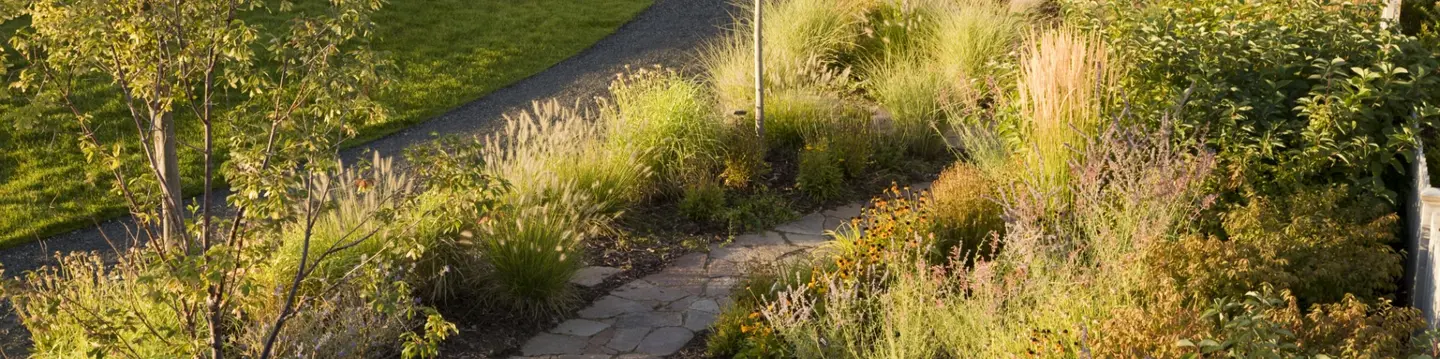 Sustainable Landscape Benefits