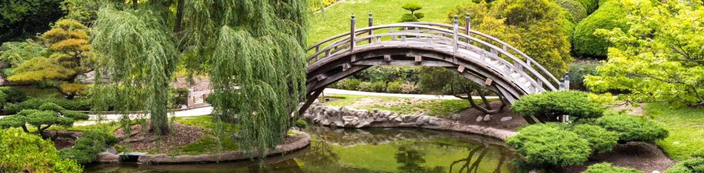 Preserving Huntington Museum Garden