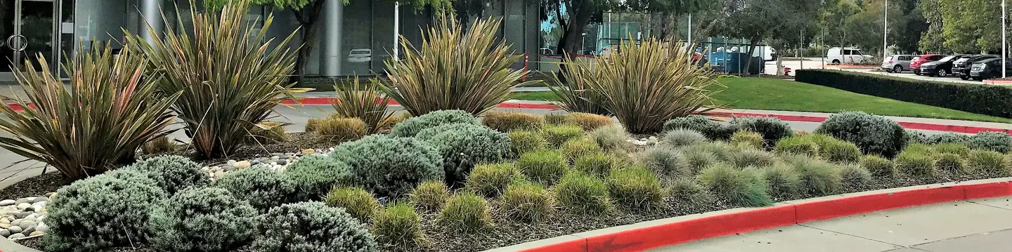 Maintaining Water Savings Oracle Campus