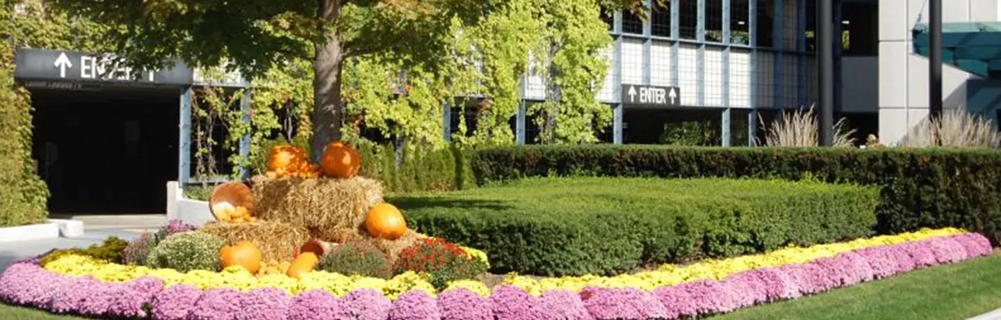 Adding Curb Appeal to Woodfield Corporate Center