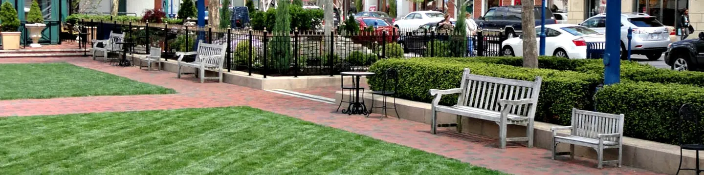 Easton Town Center Case Study