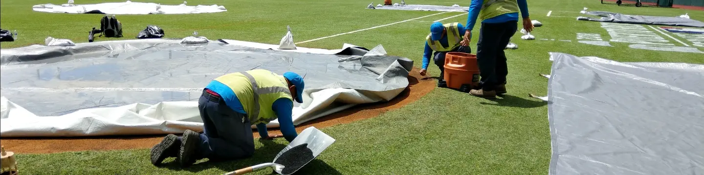 MLB Puerto Rico Series