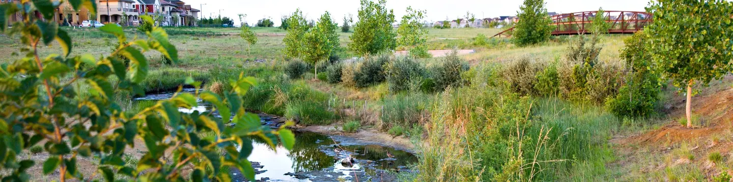 Stapleton Streetscapes