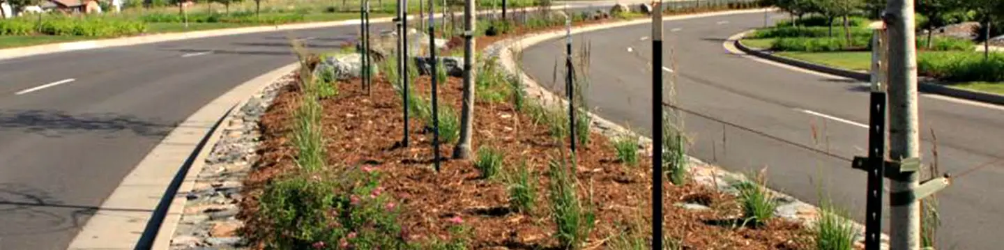 Omni Park Water Management