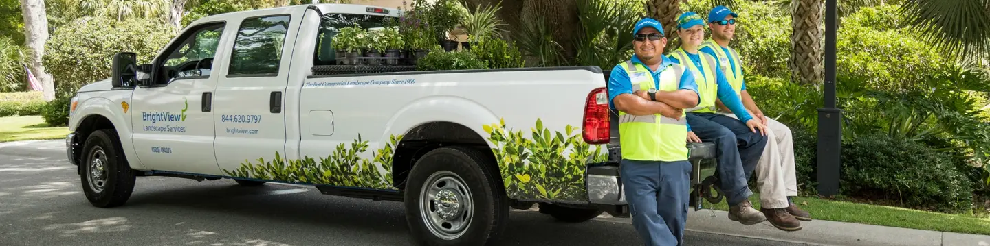 5 Easy Landscaping Wins from the Pros