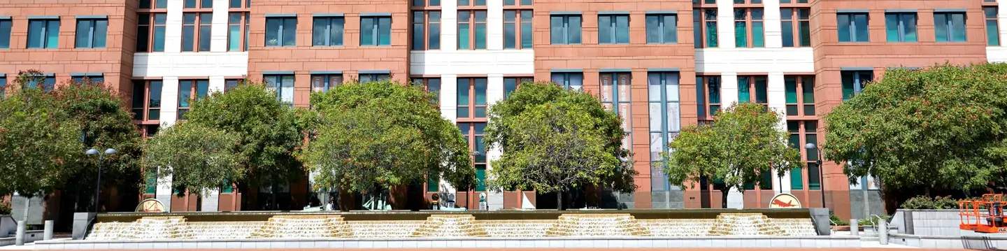 Help Trees Survive Urban Stress