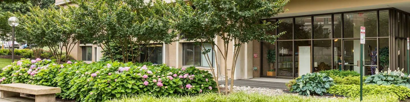 Washington, DC Commercial Tree Care Services