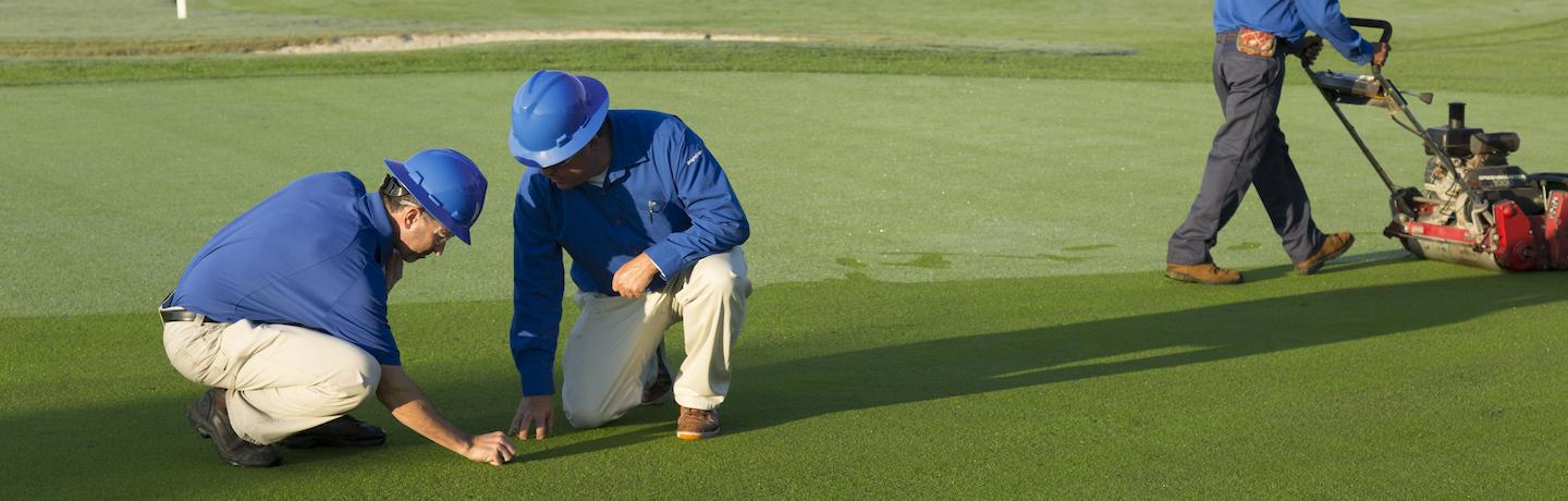 agronomist inspecting golf course turf