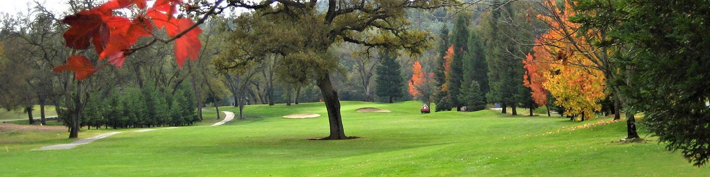 Black Oak Golf Course