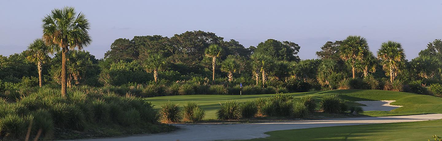 golf course with palm trees and winding path