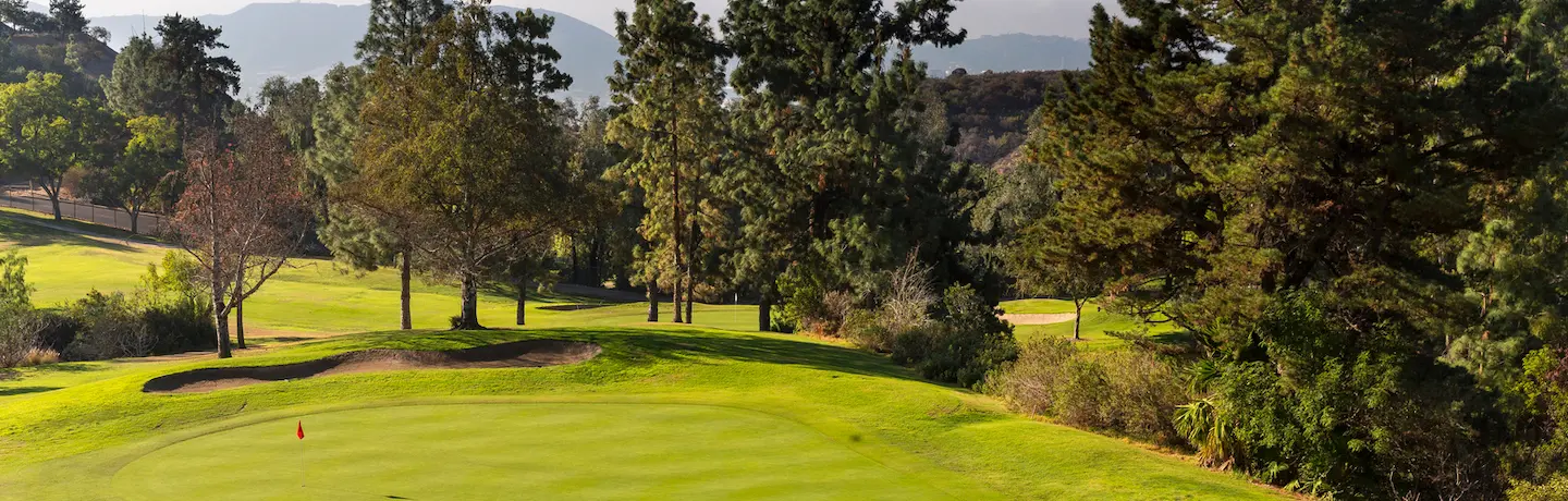 aerial view of golf course with trees