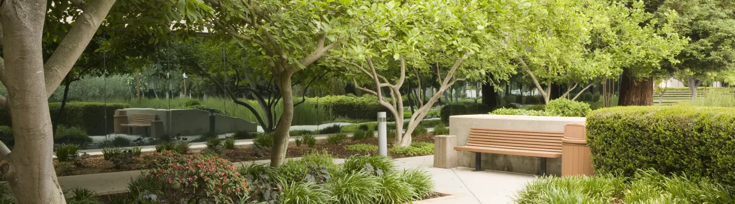 landscape trees bench