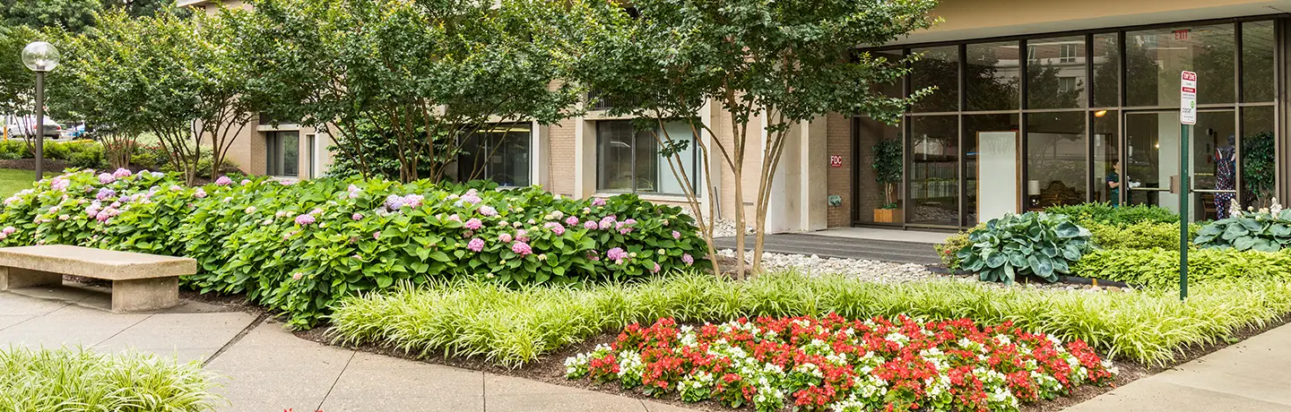 [current-page:node:city-state-abbr] Commercial Landscape Company