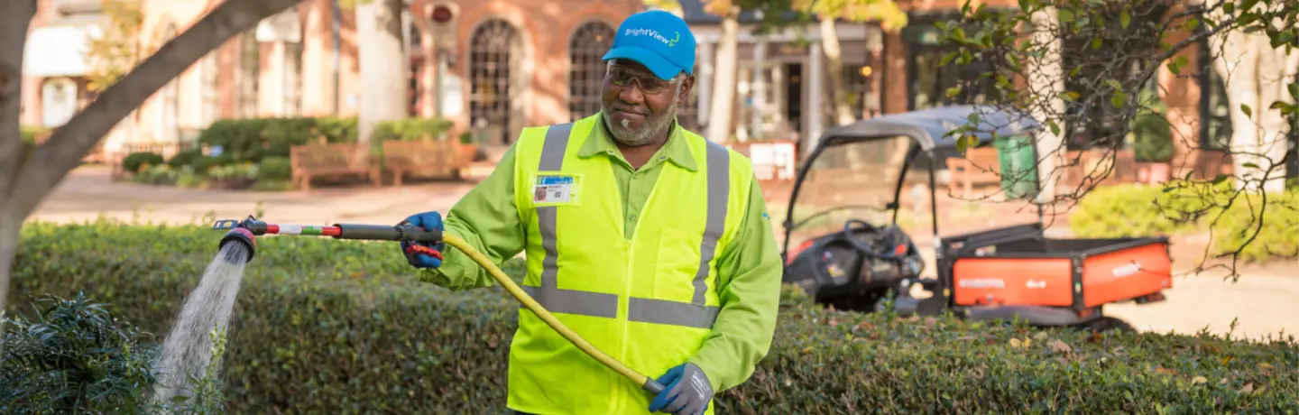 What to expect from a Career in Landscaping