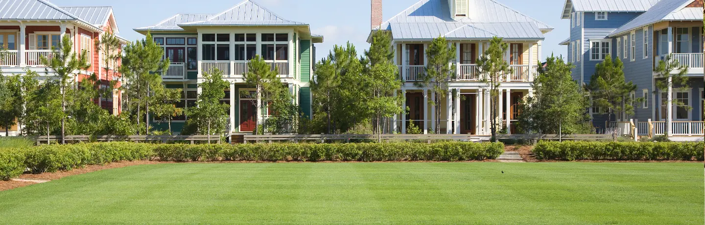 florida turf with row of houses