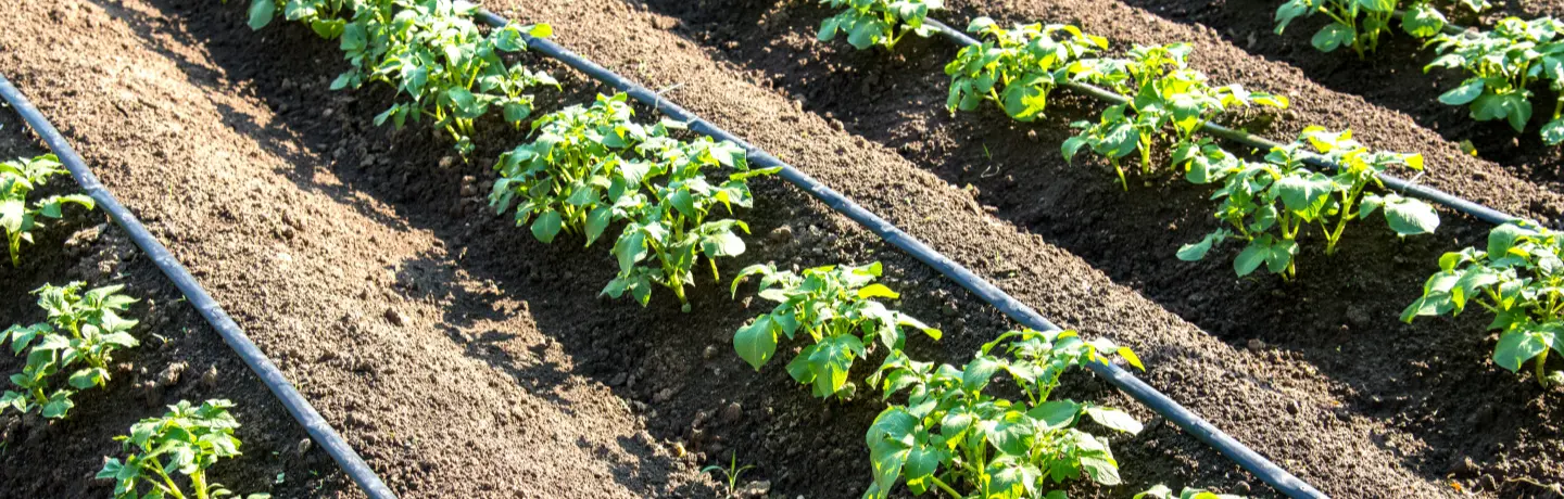 Commercial Irrigation Systems