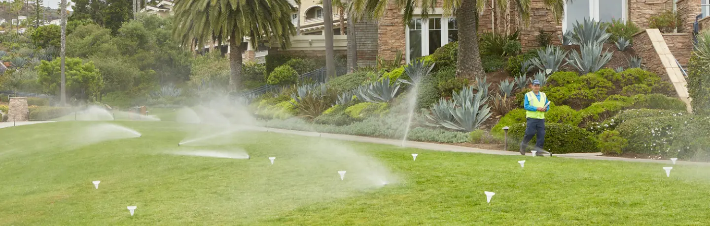 Overcoming Irrigation Damage in Commercial Landscaping
