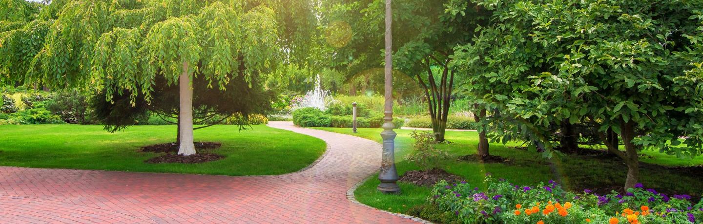 Best Mulch for Commercial Properties