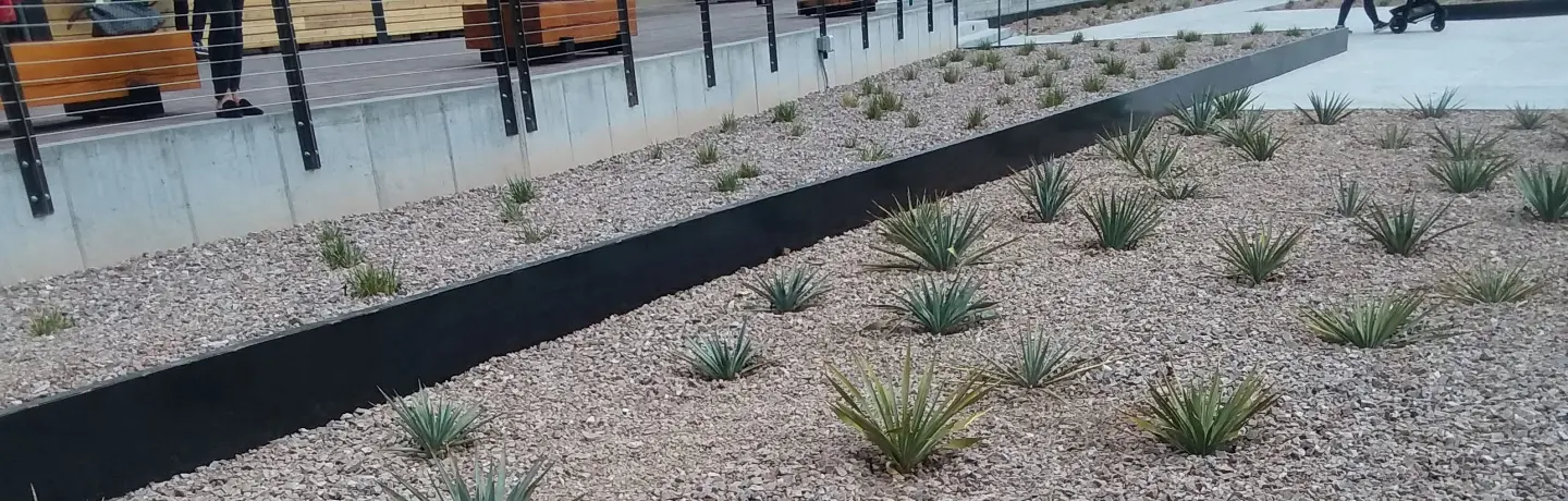 Differences Between Organic Mulch & Inorganic Mulch