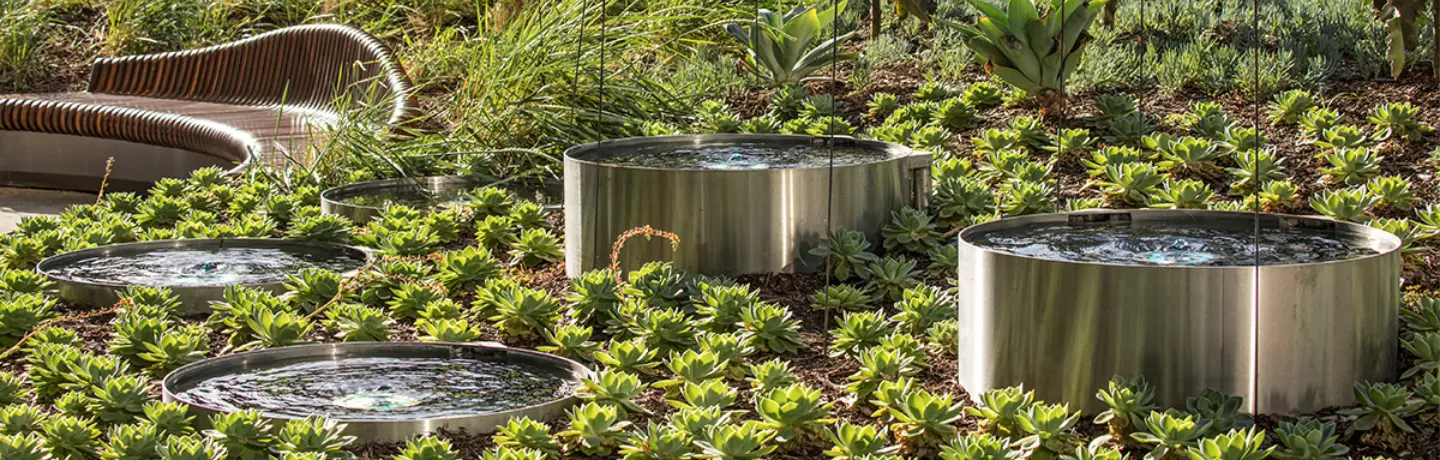 Healing Garden Design Tips