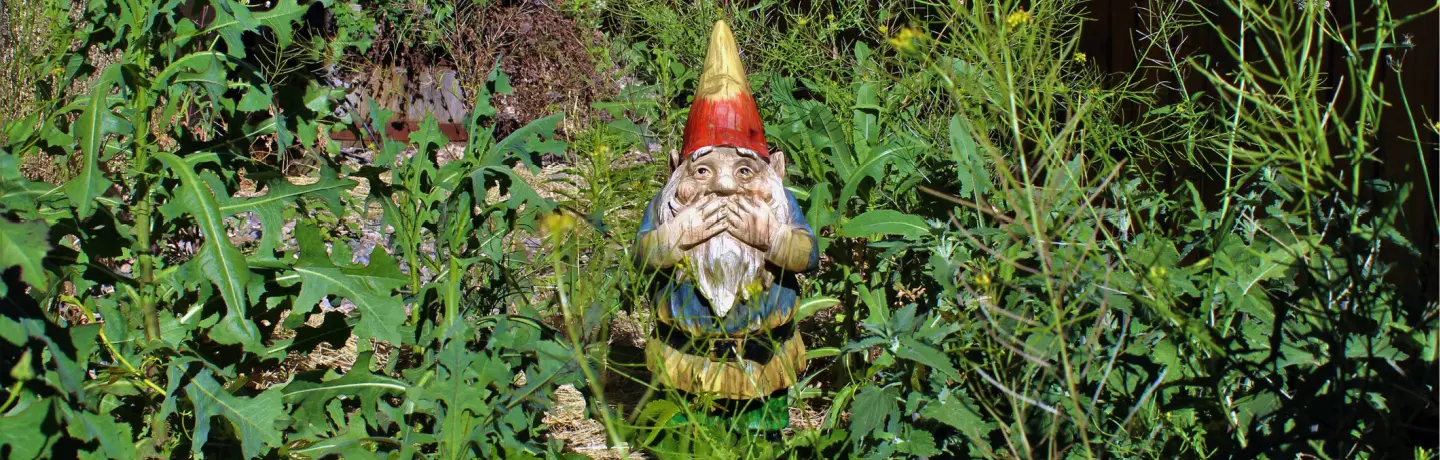 Weed Prevention Tips