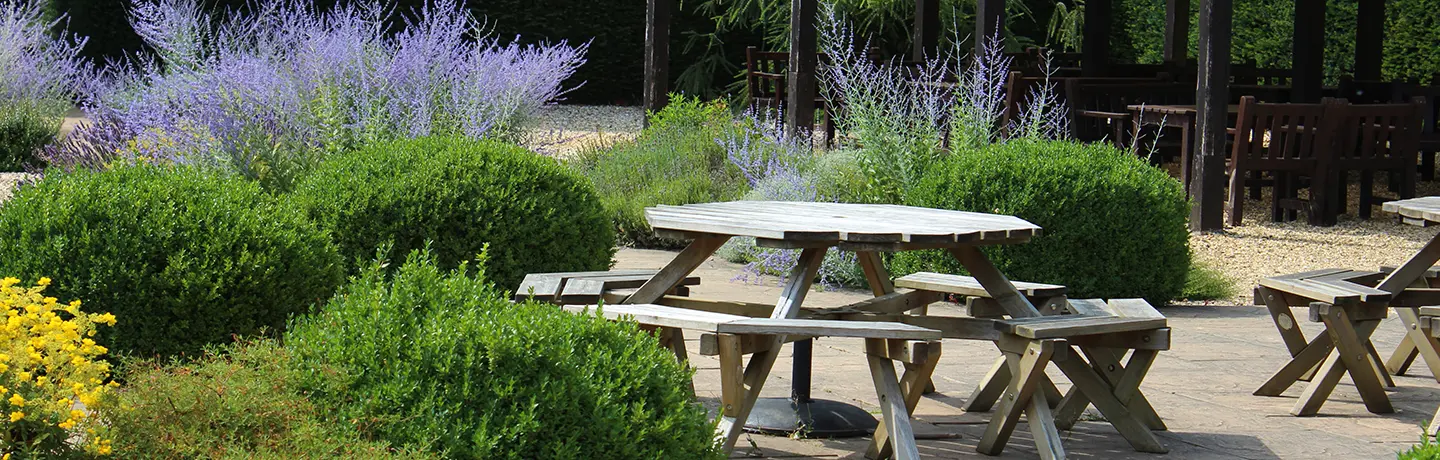 Outdoor Classroom at School