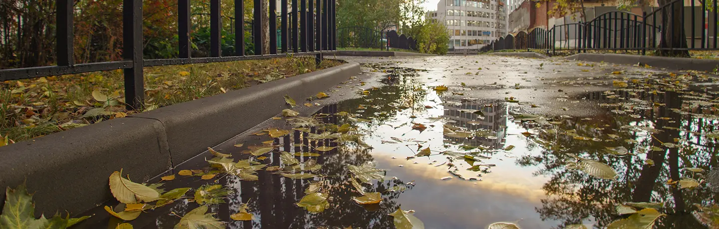 Avoid Slips and Falls