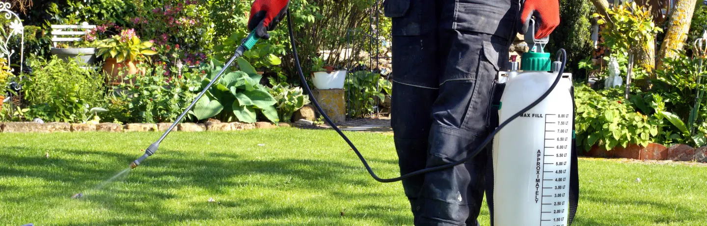 Weed Control & Prevention