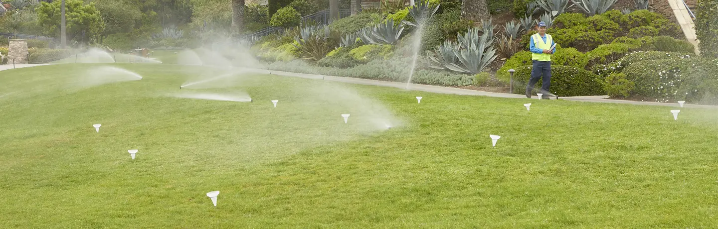 Is Your Landscape Too Thirsty? Save Water and Money with Conservation