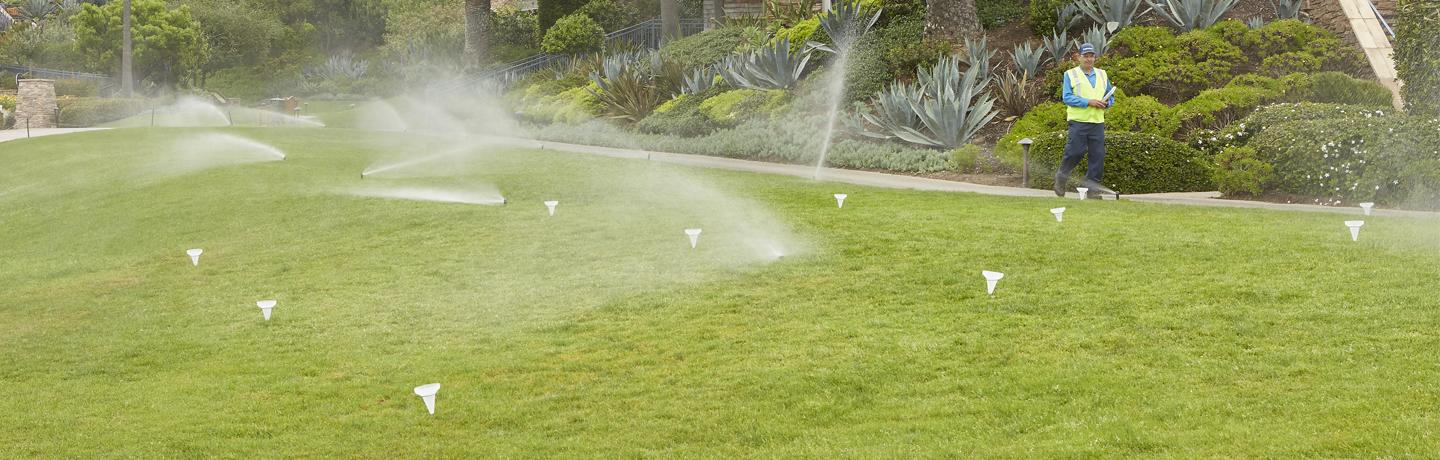 Is Your Landscape Too Thirsty? Save Water and Money with Conservation