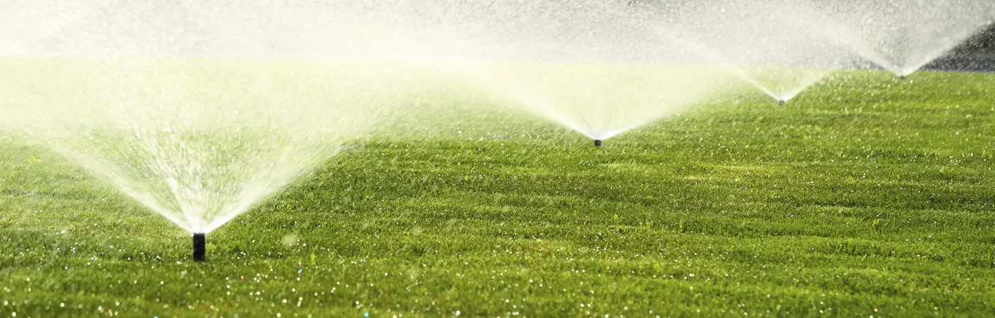 10 Reasons to Skip that Winter Lawn