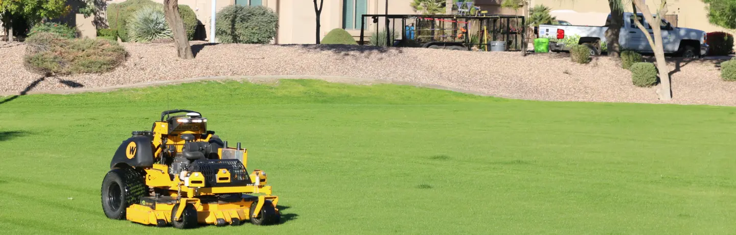 Robotic mower landscape