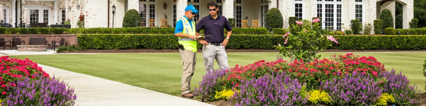 Five Landscape Budget Tips for Your Property