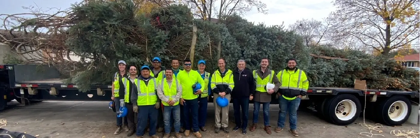 Chicago Christmas tree BrightView