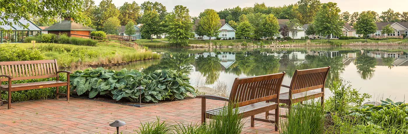 Tips to Improve Landscape Quality