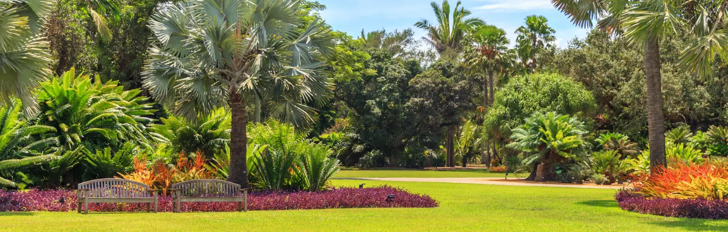 Enhancing Patient Comfort: 4 Landscape Solutions